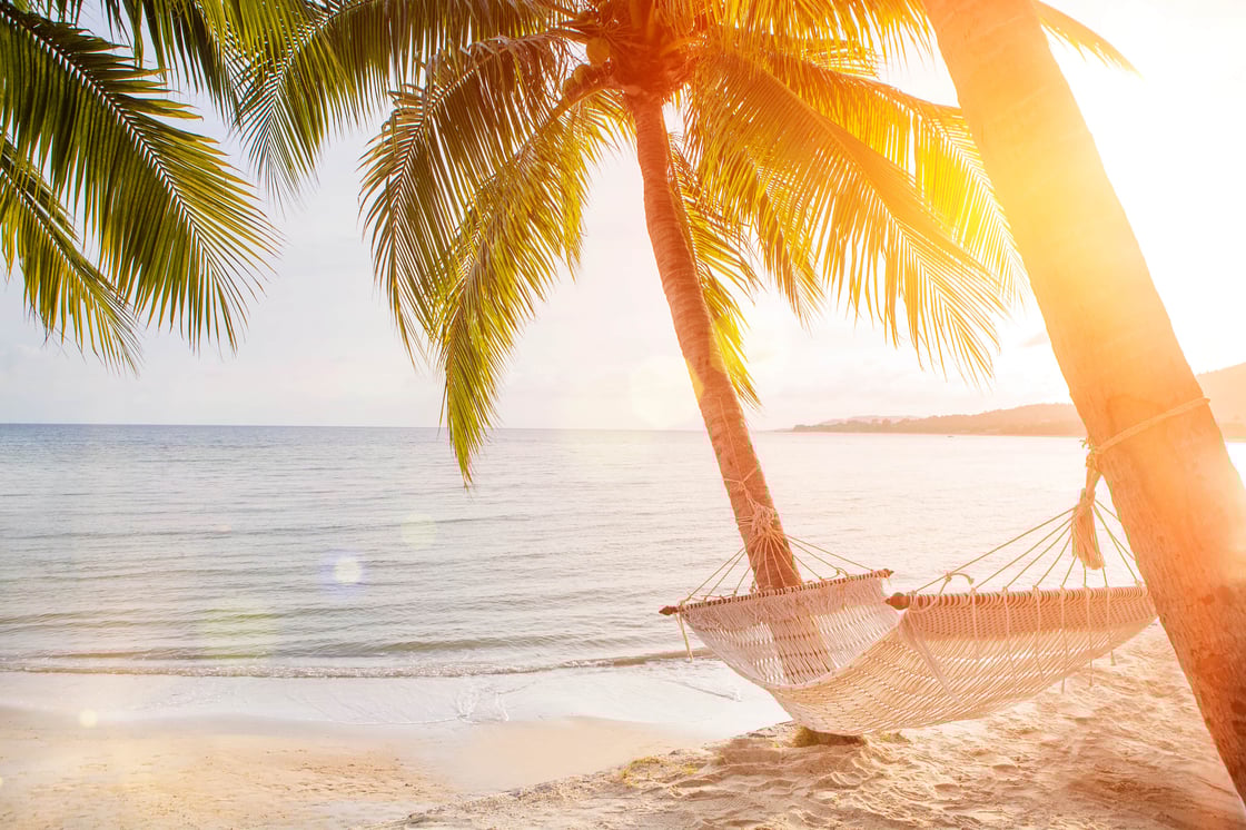 Algemeen_strand_palmboom_vakantie_shutterstock_1020470851-min