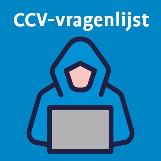 Afbeelding vragenlijst cybercrime