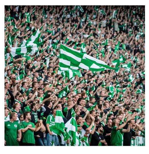 MBVEO - boze voetbalsupporters FC Groningen AI- 300x300