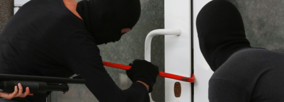 Nieuwsbrief header 5